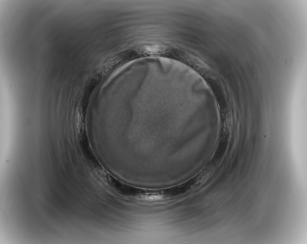 X0000085770651200704091353