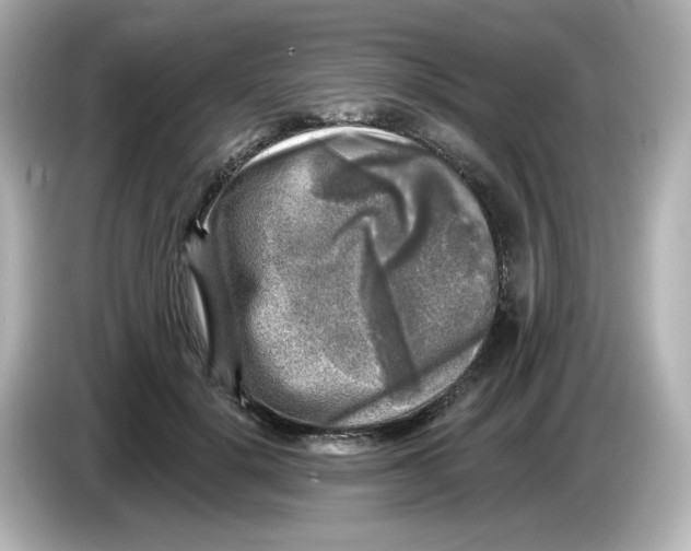 X0000085770652200704091353