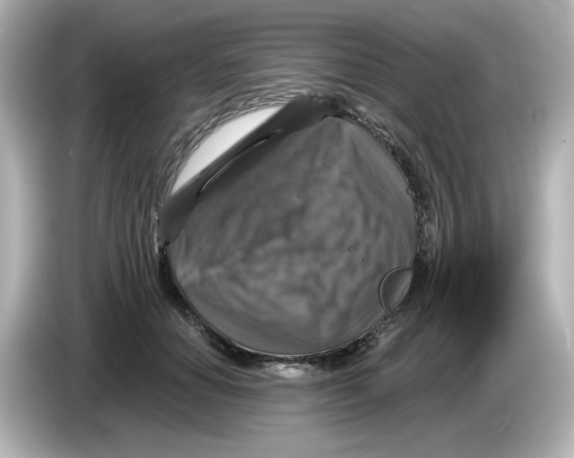 X0000085770654200704091353