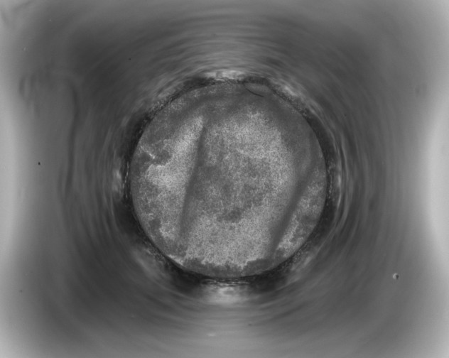 X0000085770655200704091353