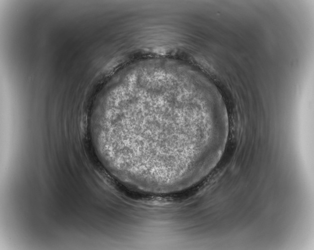 X0000085770656200704091353