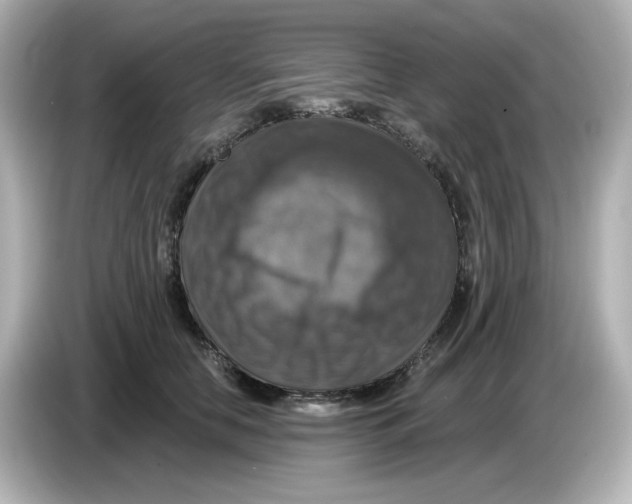 X0000085770658200704091353