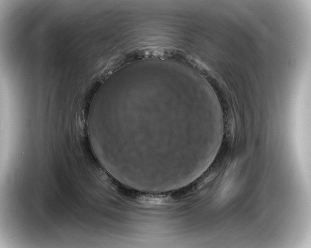 X0000085770661200704091353