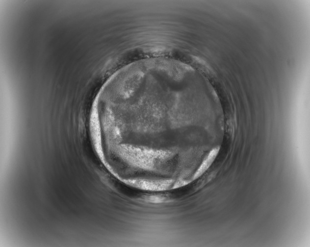 X0000085770662200704091353