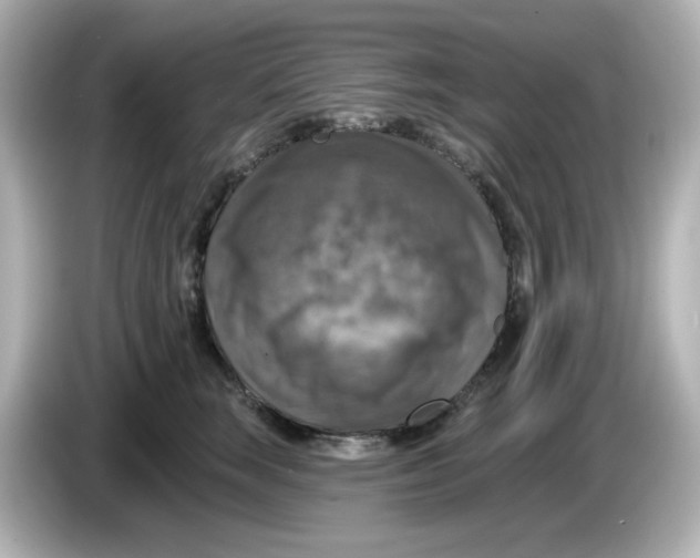 X0000085770663200704091353