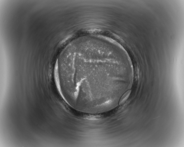 X0000085770664200704091353