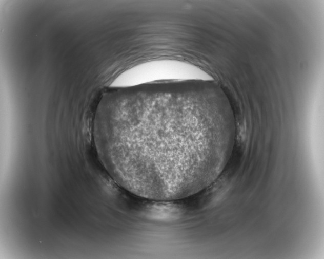 X0000085770666200704091354