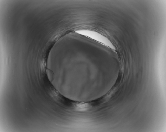 X0000085770669200704091354