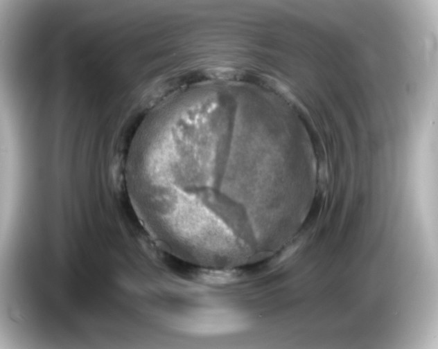 X0000085770671200704091354