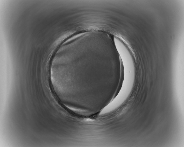 X0000085770673200704091353