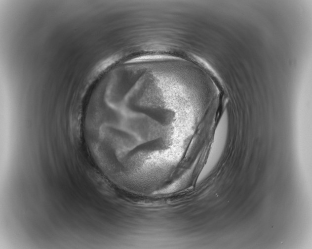 X0000085770675200704091353