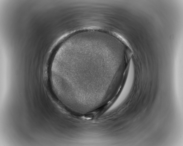 X0000085770676200704091353