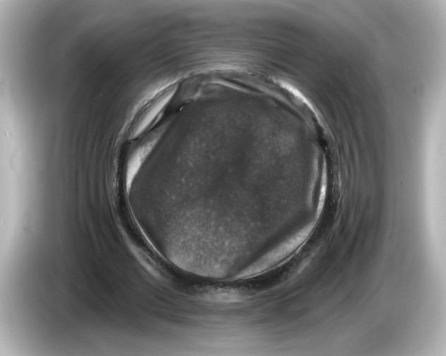 X0000085770677200704091353