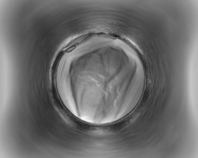 X0000085770678200704091353