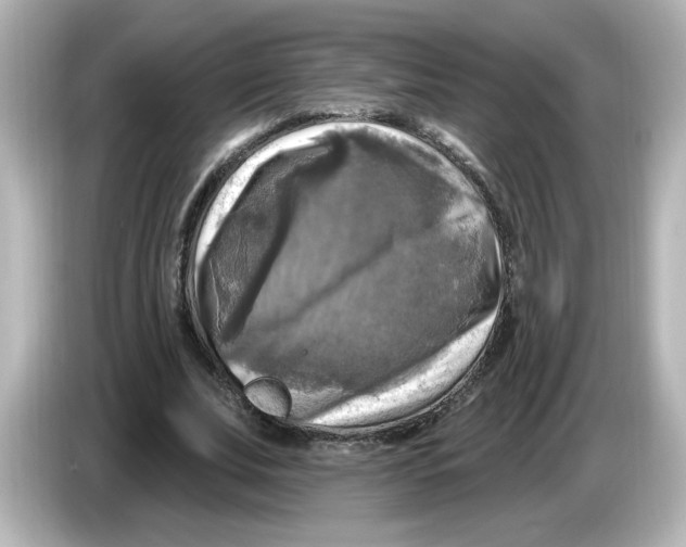 X0000085770679200704091353