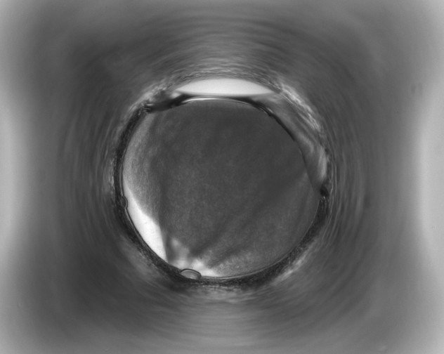 X0000085770681200704091353