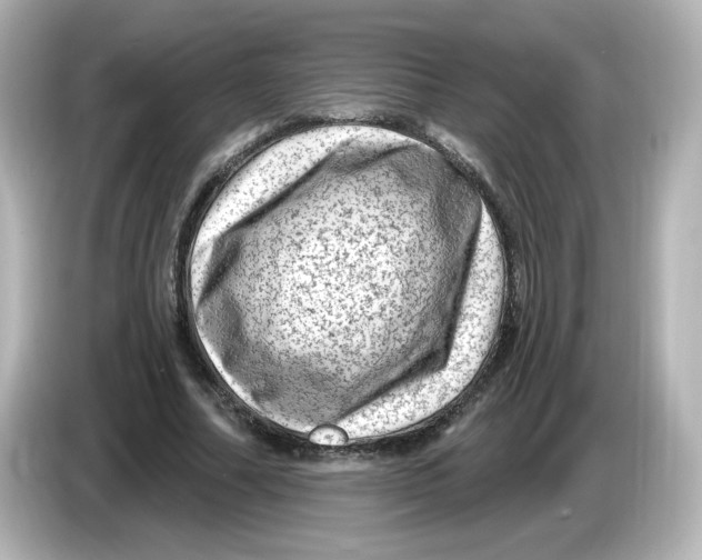 X0000085770682200704091353