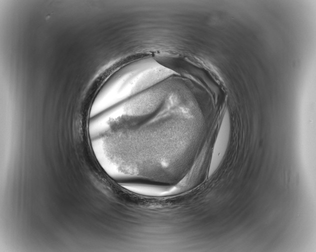 X0000085770684200704091353