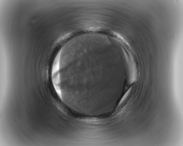 X0000085770685200704091353