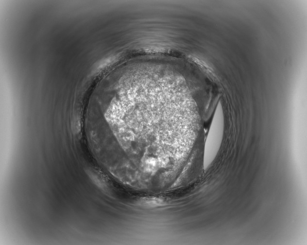 X0000085770687200704091353