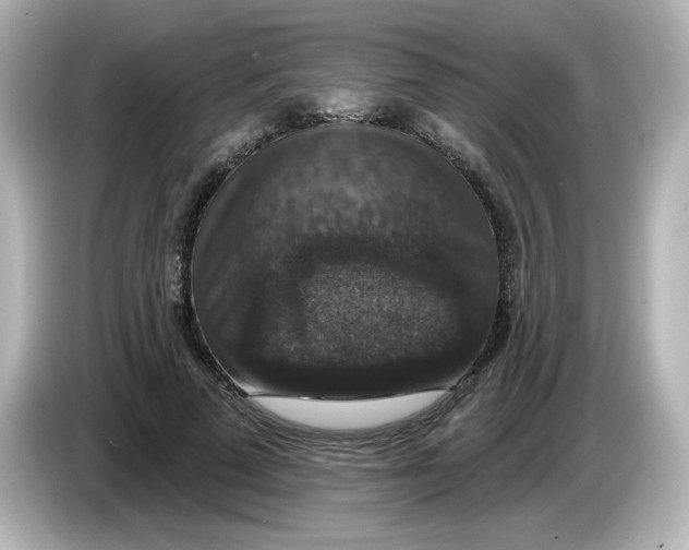 X0000085770689200704091353