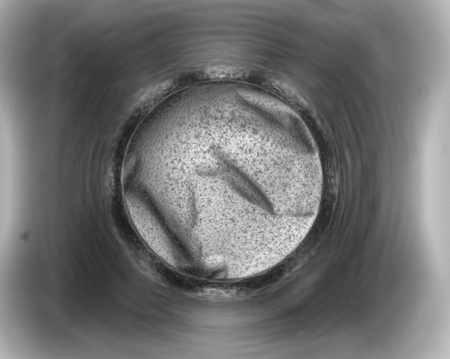 X0000085770690200704091353