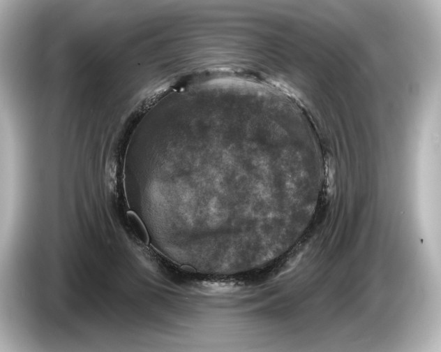 X0000085770693200704091353