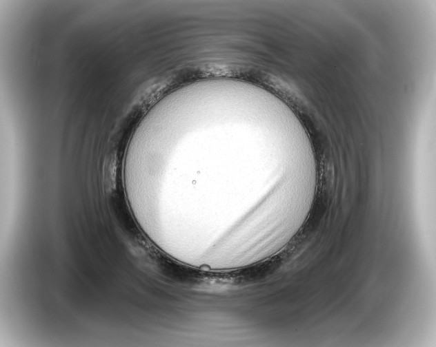 X0000085770694200704091353