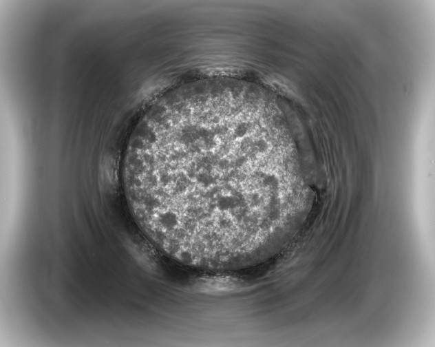 X0000085770695200704091353