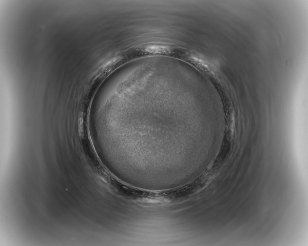 X0000085770696200704091353