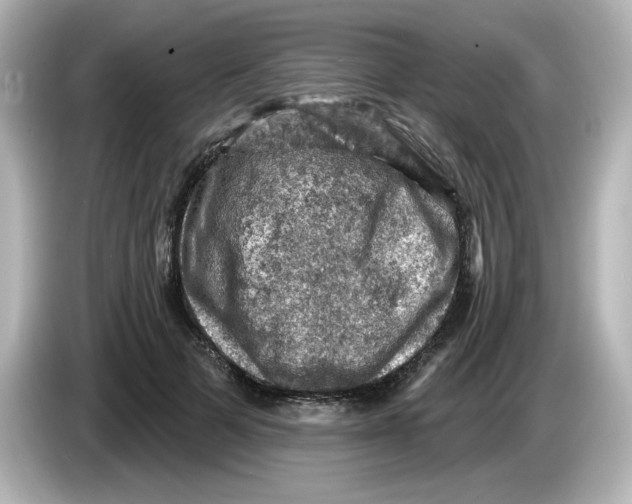 X0000085770697200704091353