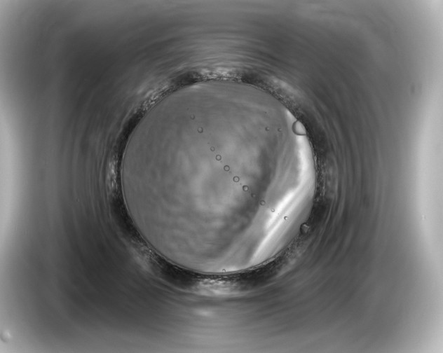 X0000085770699200704091353