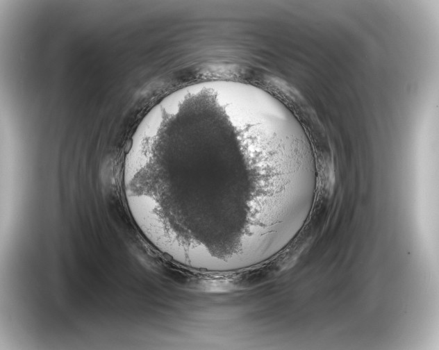 X0000085770701200704091353