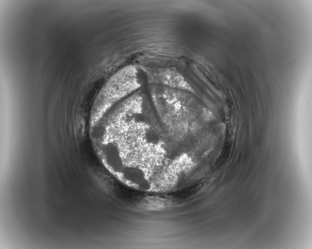 X0000085770703200704091353