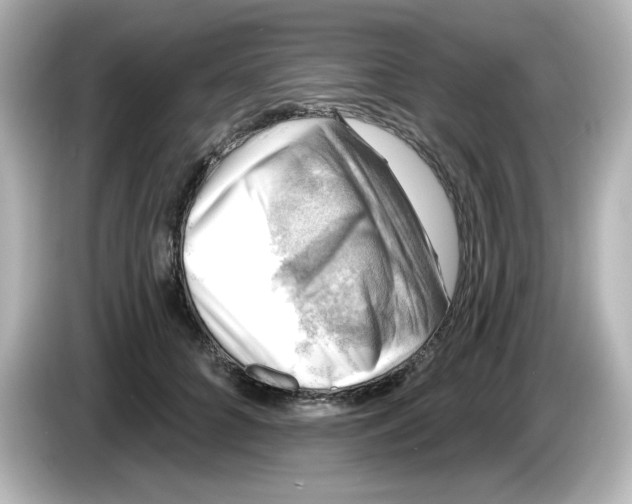 X0000085770704200704091353