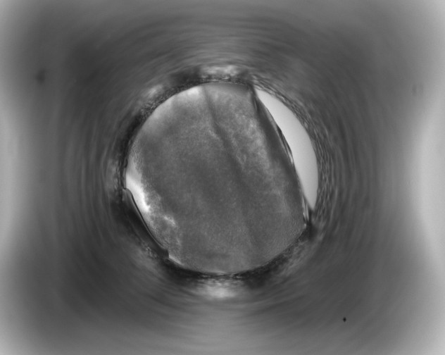 X0000085770708200704091353