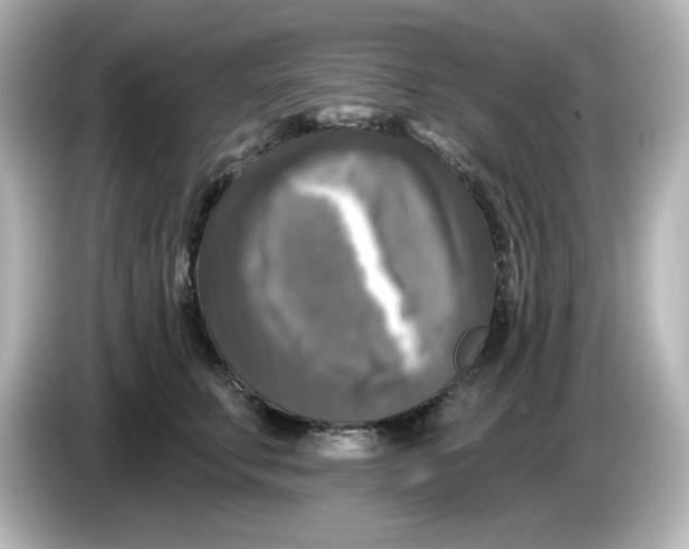 X0000085770711200704091353