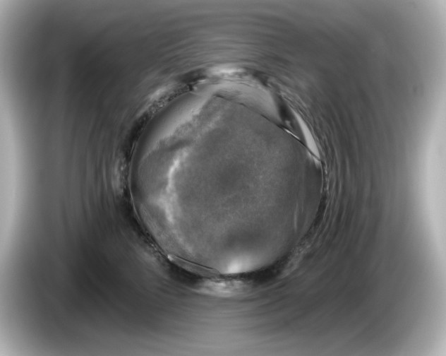 X0000085770712200704091353