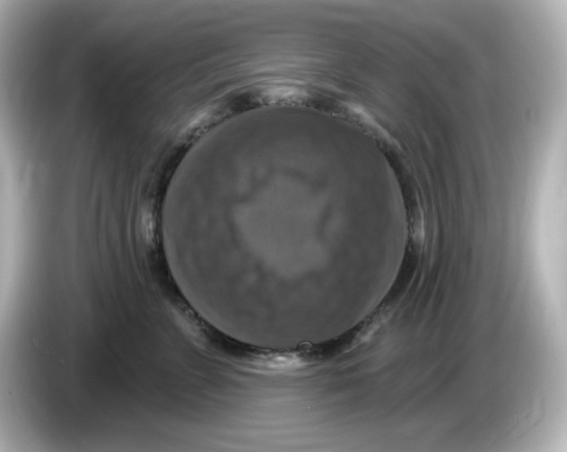 X0000085770715200704091353