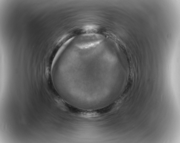 X0000085770716200704091353