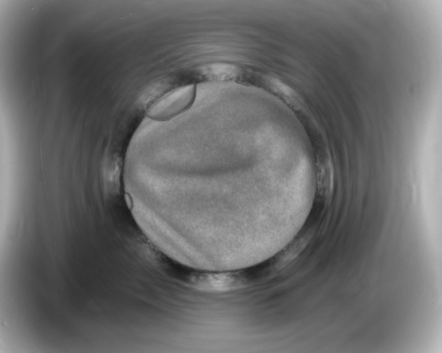 X0000085770717200704091352