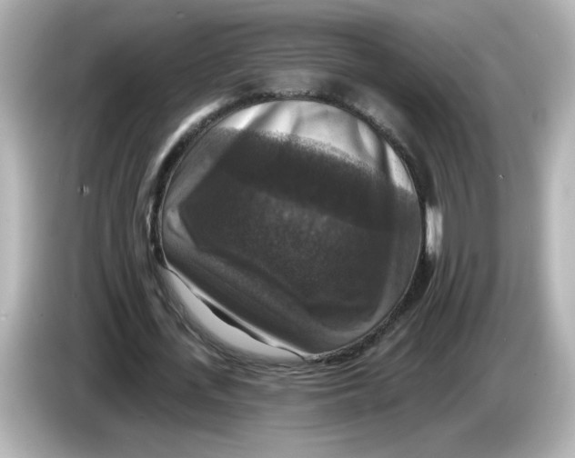 X0000085770723200704091352