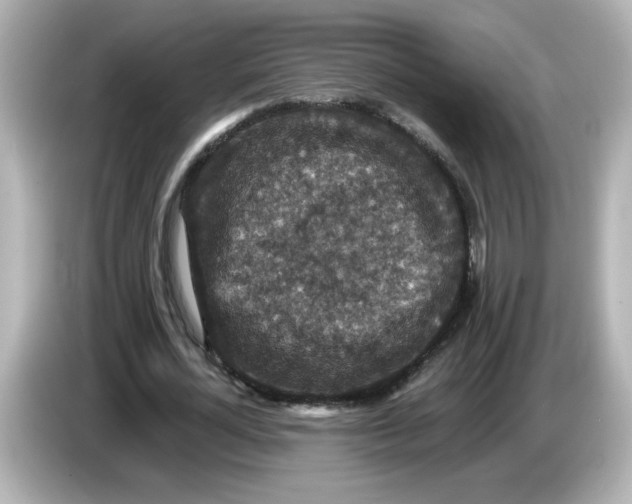 X0000085770724200704091352