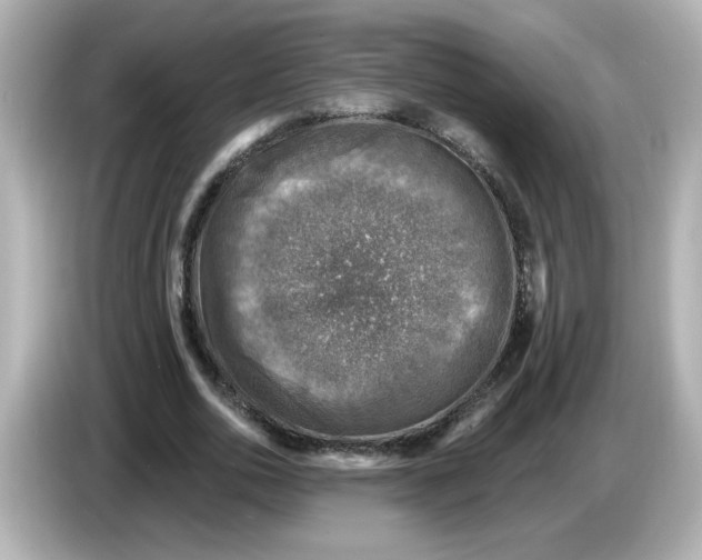 X0000085770726200704091352