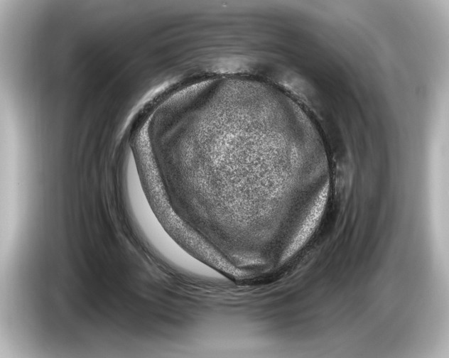 X0000085770727200704091352