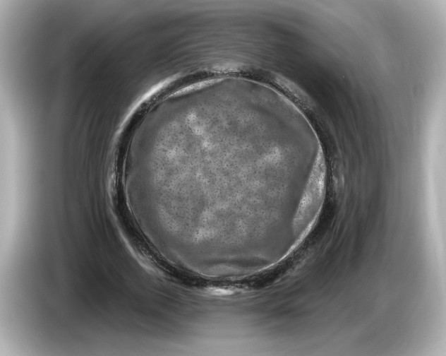 X0000085770728200704091352