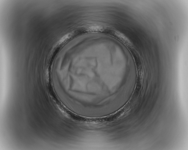 X0000085770729200704091352