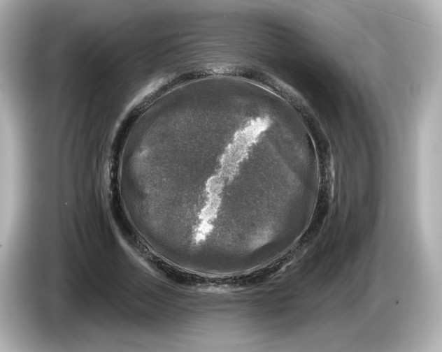 X0000085770730200704091352