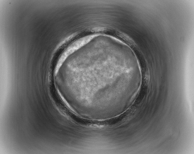 X0000085770732200704091352