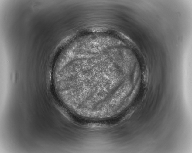 X0000085770733200704091352